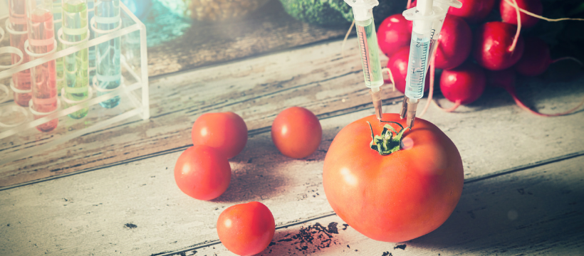 Genetically modified food